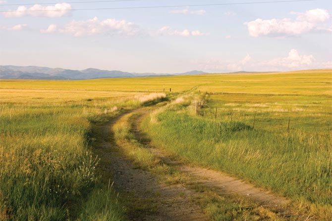 Montana-Board-of-Funeral-Service